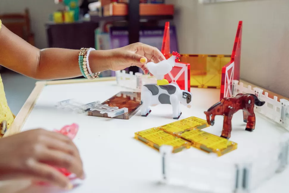 Magna-Tiles Magnetisch Speelgoed^ | Op De Boerderij, 25 St