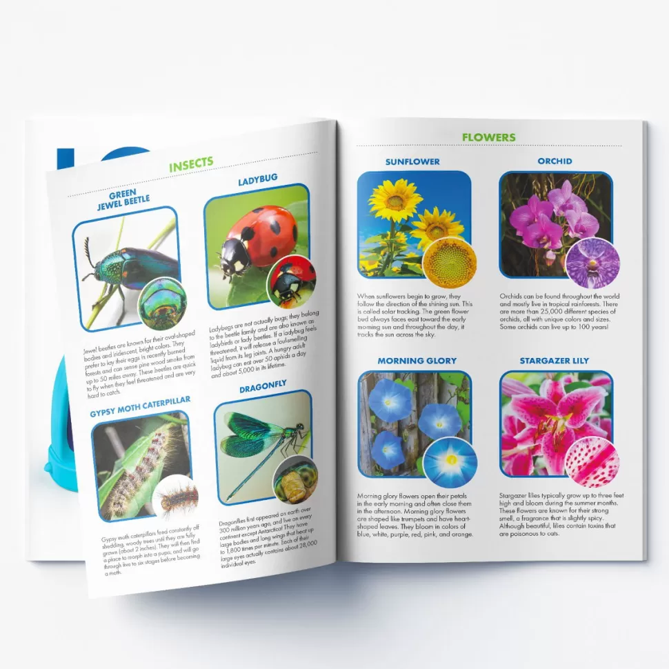 Learning Resources Microscoop Met Foto's - Mijn Eerste