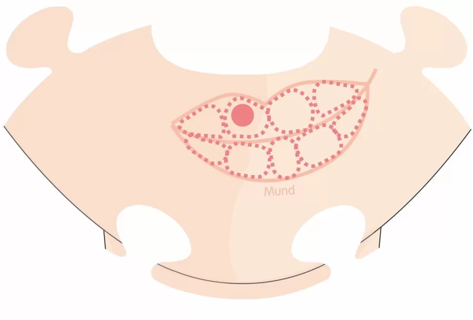 PlayMais Access. - Anatomie Puzzel