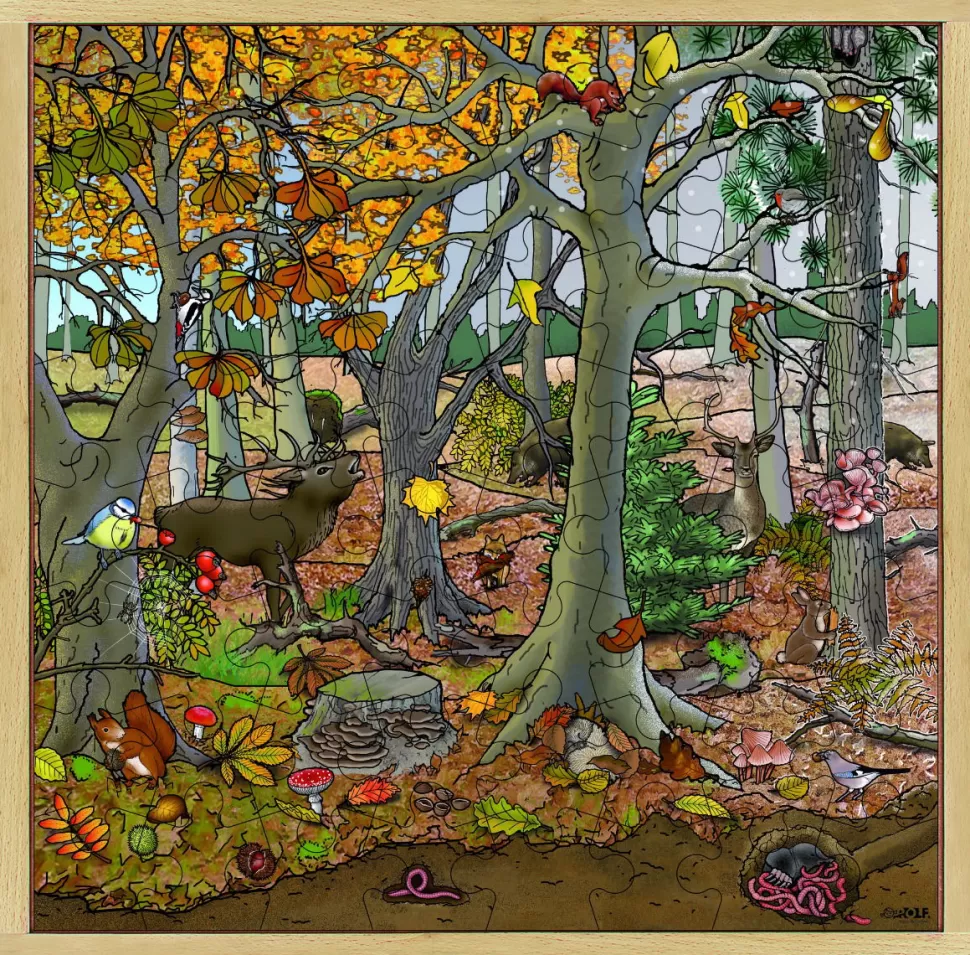 Rolf Education Puzzel^Puzzel Van Hout - Herfst, 64 Stukjes