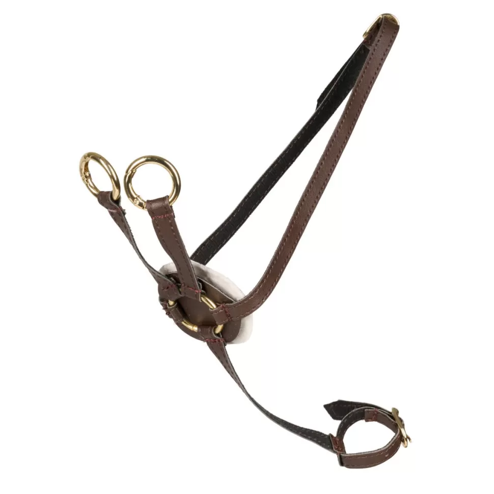 Cheval Roi Stokpaarden & Accessoires^Stokpaard Access. -Martingaal, Bruin/Goud