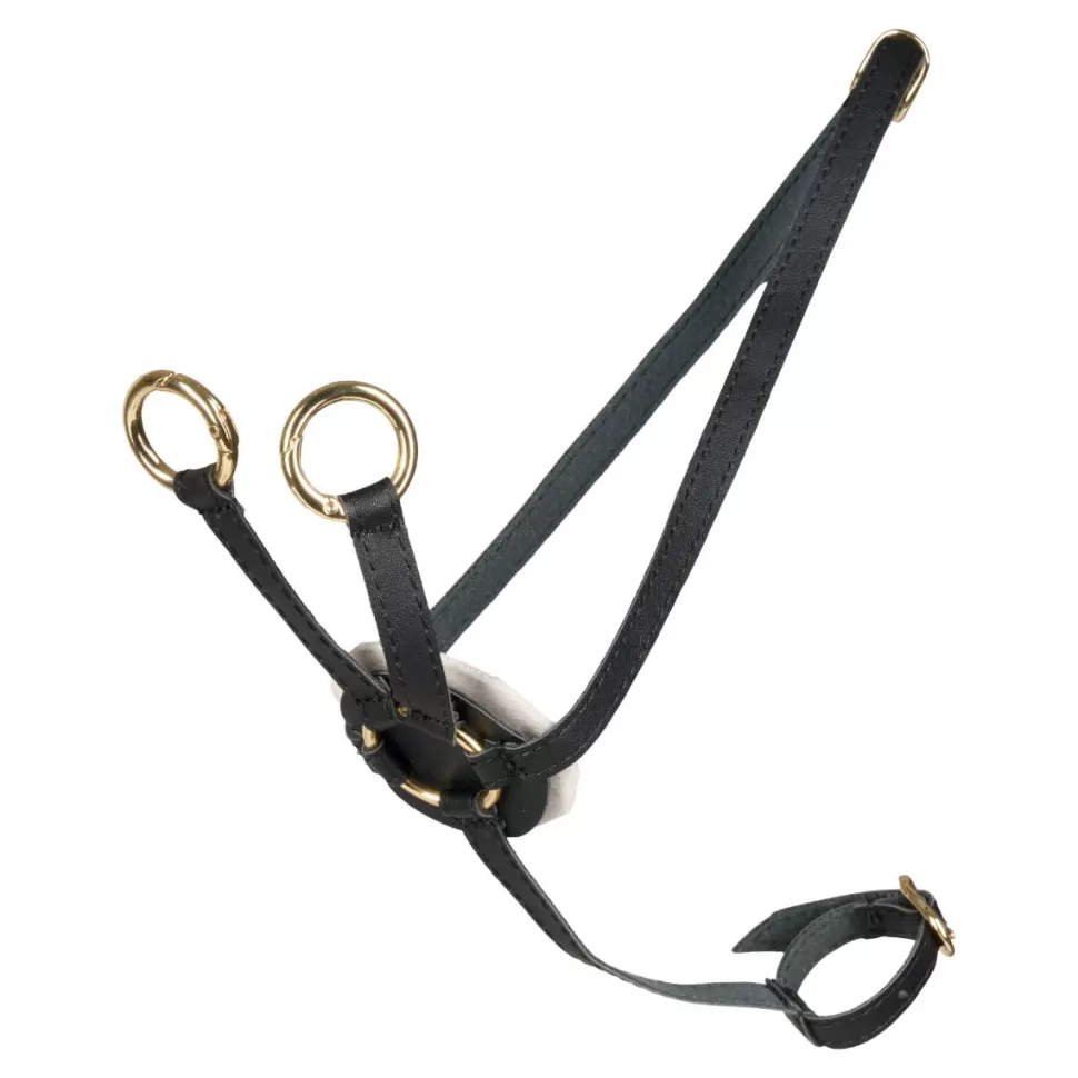 Cheval Roi Stokpaarden & Accessoires^Stokpaard Access. -Martingaal, Zwart/Goud