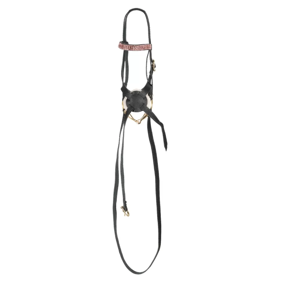 Cheval Roi Stokpaarden & Accessoires^Stokpaard Access. -Tuig, Zwart